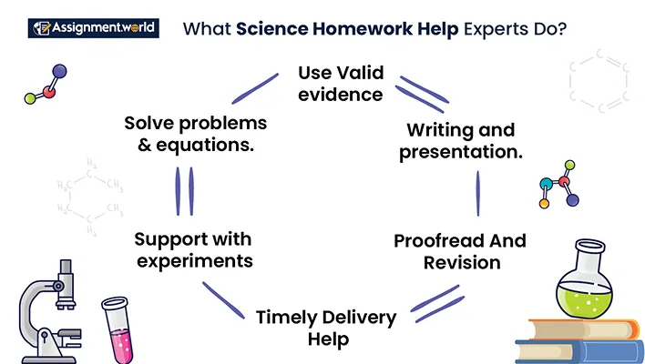 What Science Homework Help Expert do?