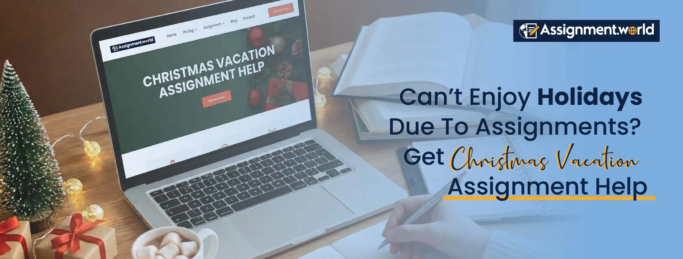 Can&rsquo;t Enjoy Holidays Due To Assignments Get Christmas Vacation Assignment Help
