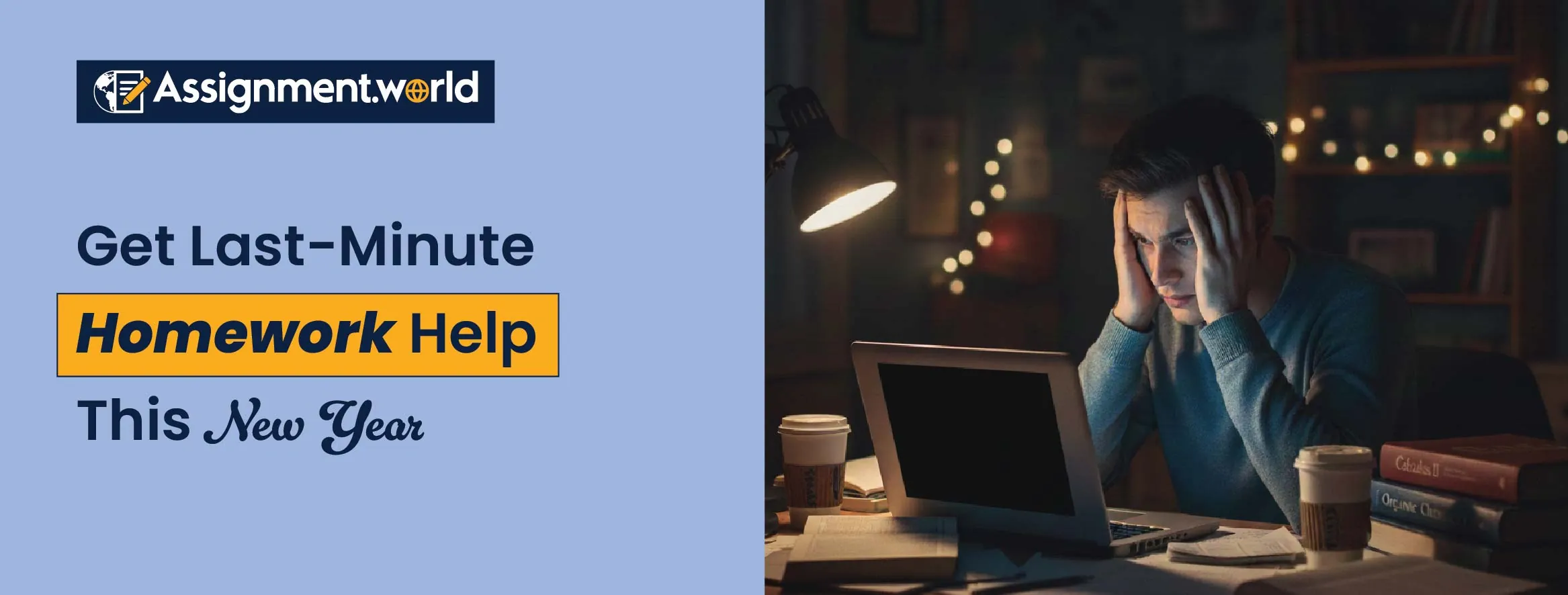 Get Your Last-Minute Homework Help For This New Year